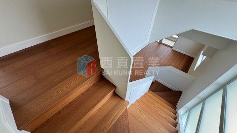 黃毛應
