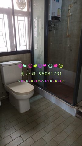 龍尾村 95081731 車泊樓下