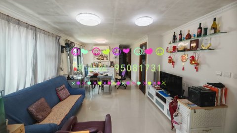 95081731