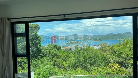 菠蘿輋 西貢半山