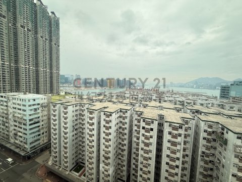 新利華中心 新利華中心