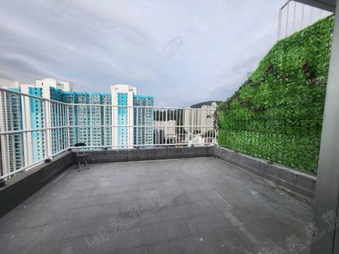 llam.com.hk