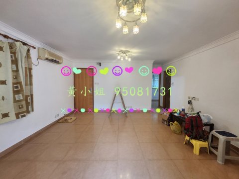 95081731