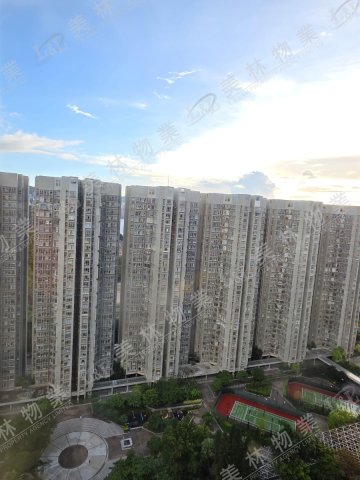 llam.com.hk