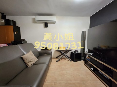 布心排  95081731