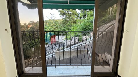 井欄樹村
