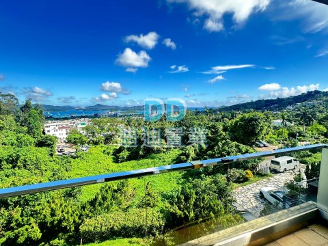 南山村 景觀開揚 俯瞰市中心