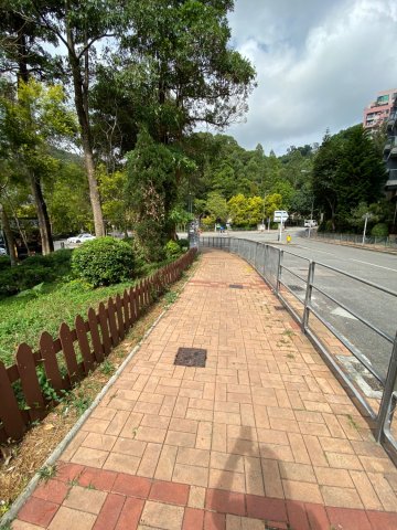 銅鑼灣新村 @ EMILY 95080096