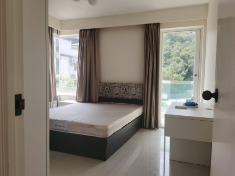龍尾村 95080030