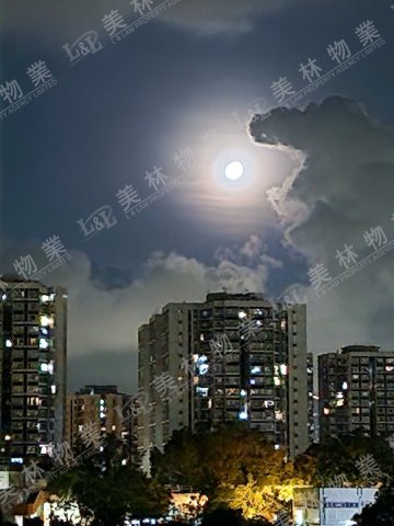 llam.com.hk