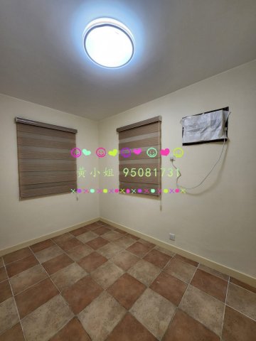 龍尾村   95081731