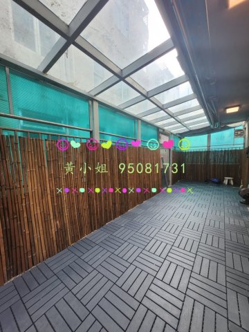 洞梓   95081731