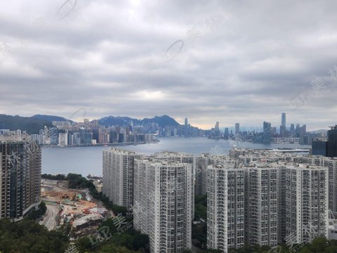 llam.com.hk