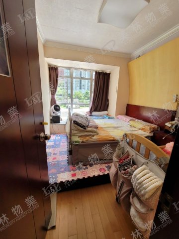 llam.com.hk