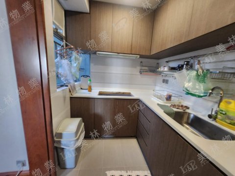 llam.com.hk