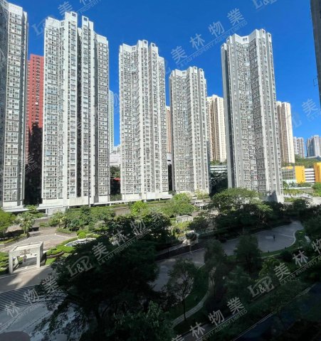 llam.com.hk