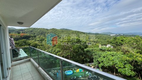 南山村