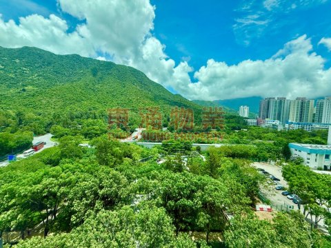 藍天海岸 第01期 第01座  低層開揚