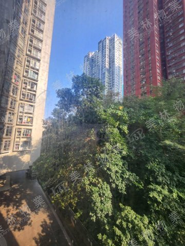 llam.com.hk