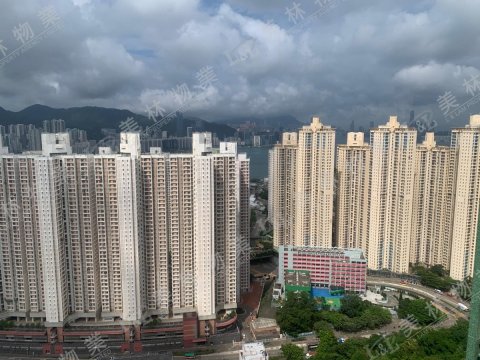 llam.com.hk