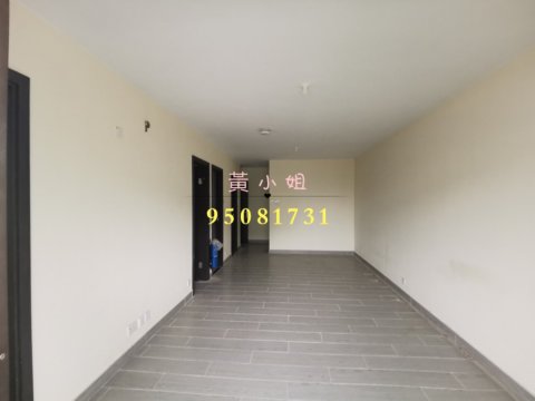 蘆慈田  95081731