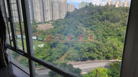 麗港城