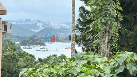 黃竹灣村