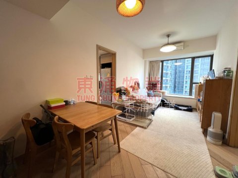 THE VISIONARY TWR 10