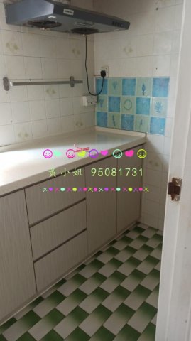 龍尾村 95081731 車泊樓下