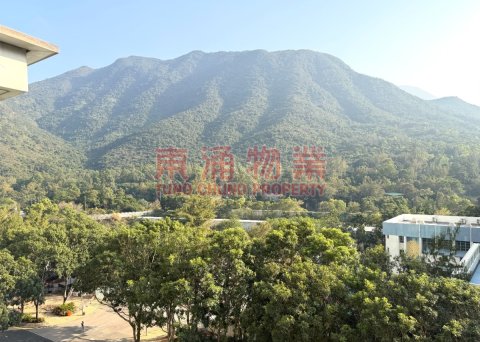 藍天海岸 第01期 第05座 兩房齊傢俬