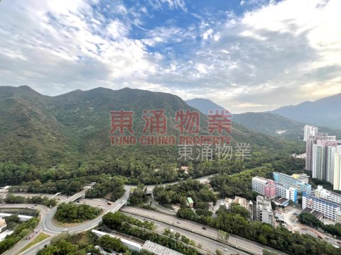 藍天海岸 第01期 第06座 實用一房