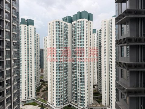東環 第01期 第06B座 兩房一套