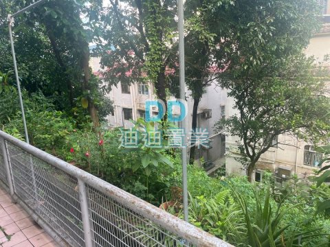 大圍新村
