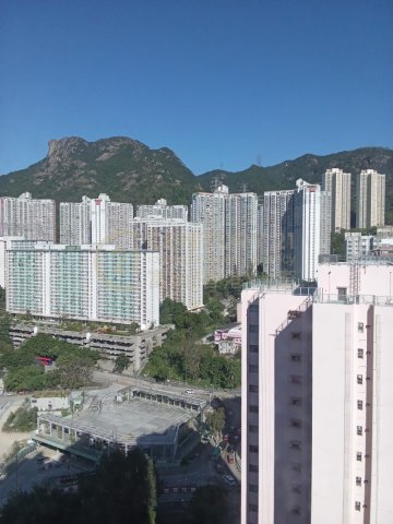 新光中心 