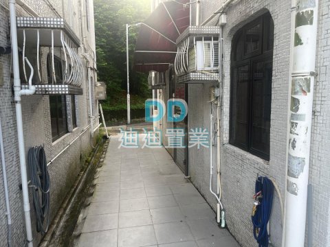 大圍新村