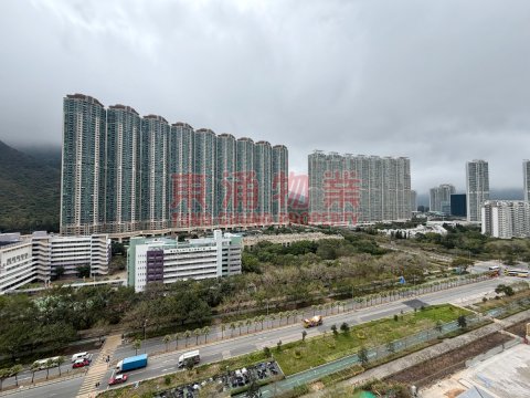 東環 第01期 第06B座 一房向南開揚