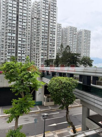 麗港城 第01期 第08座