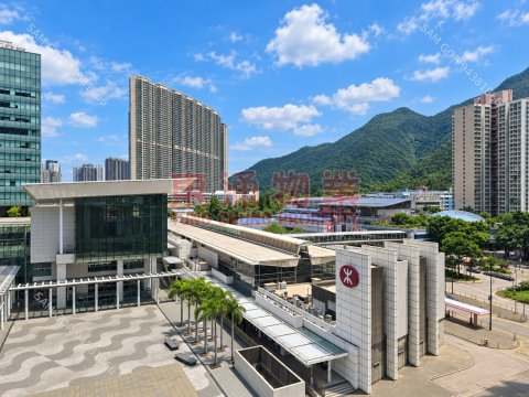 東堤灣畔 第05座 真正東涌站頂三房套