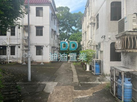 大圍新村