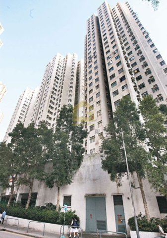 新麗花園 C座