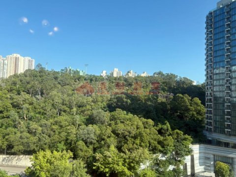 麗港城 第02期 
