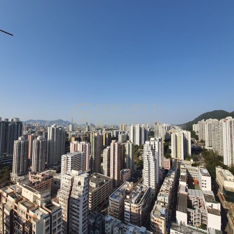 鑽嶺～高層優質靚貨