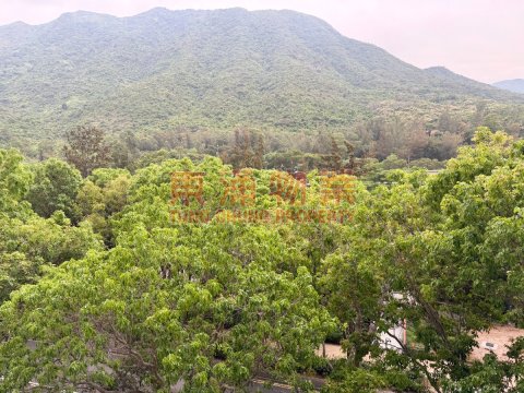 藍天海岸 第01期 第02座 兩房低層清幽