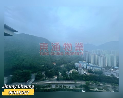 藍天海岸 第01期 第03座 高層山景兩房
