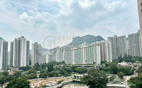 新光中心～低於市價割愛平售