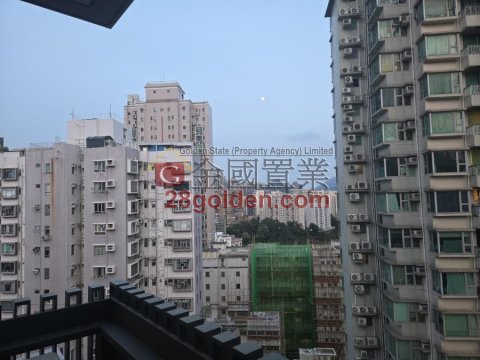 千望