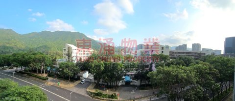 藍天海岸 第03期 A座 影岸紅 兩房大割愛