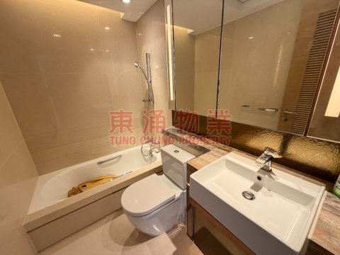 東環 第02期 第02A座 一手樓感覺 !