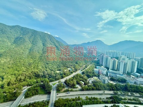 蓝天海岸 第01期 第..
