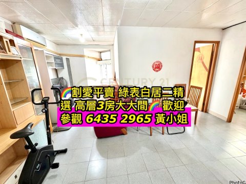鳳德村～綠表3房平賣